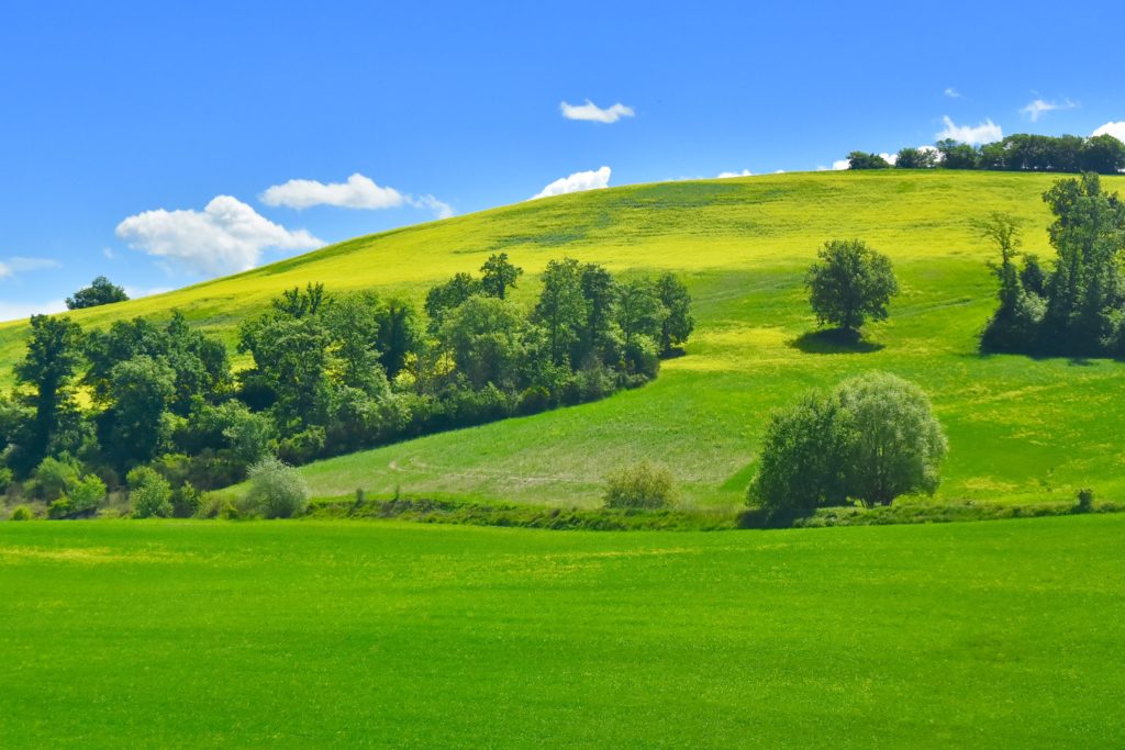 Rolling hills of tuscany