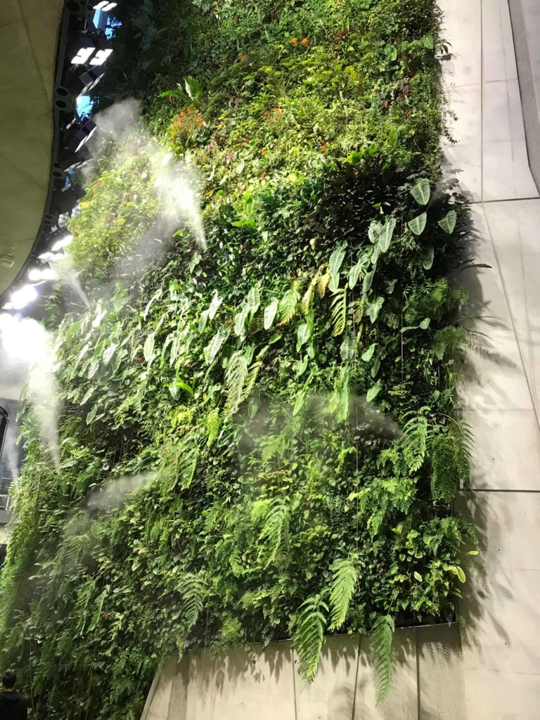 living wall of plants in amazon spheres