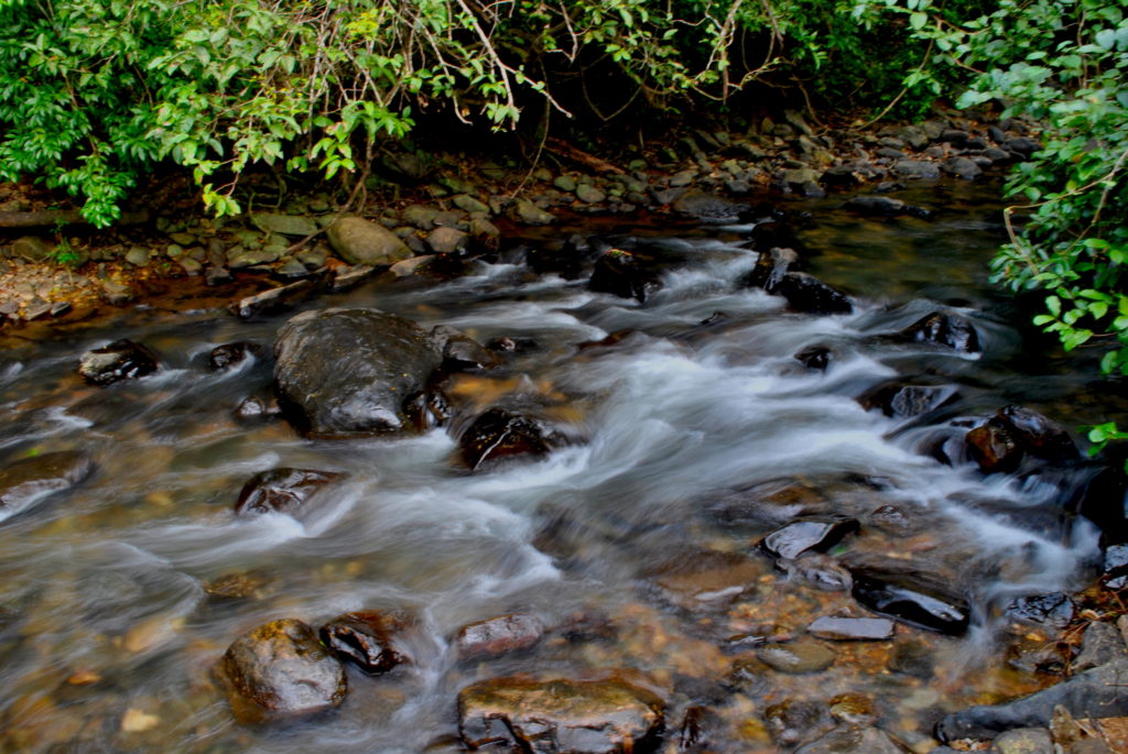 waterfall in western ghat near goa