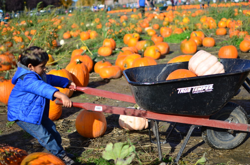 Top fall things to do in seattle With kids . Free things to do in Seattle with kids this fall 