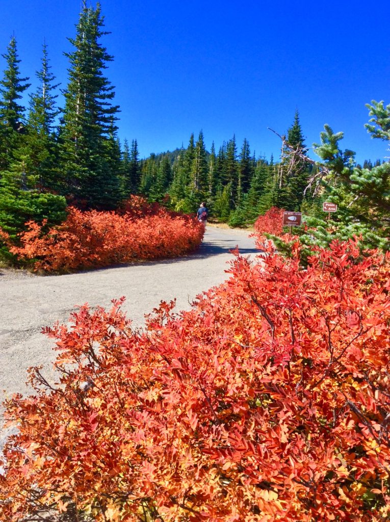 Best fall hike near seattle - fall colors seattle.