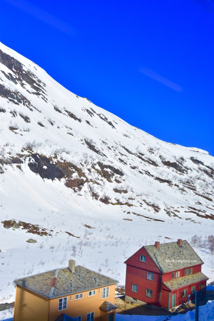beautiful village in Norway - snowcapped Myrdal with cottages